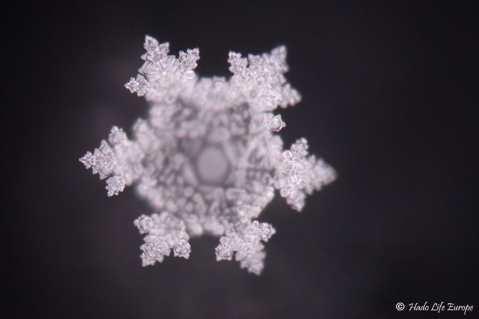 Waterkristallen Emoto-labo 2012: Pendant Penta Power — symmetrische hexagonale ijskristalstructuur als bewijs van het harmoniserend veld